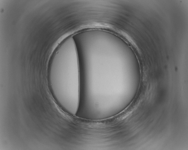 X0000068770837200604281016