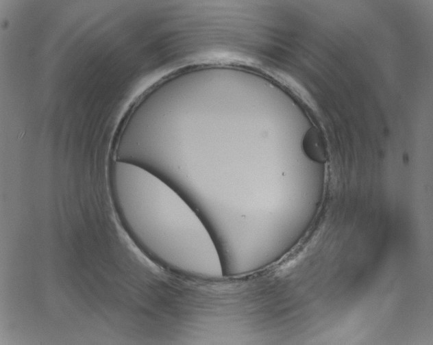 X0000068770839200604281016