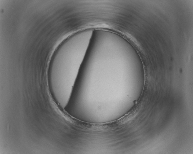 X0000068770840200604281016