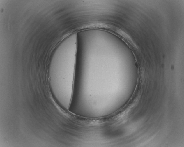 X0000068770841200604281016