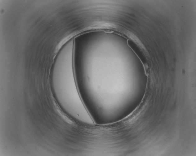 X0000068770842200604281016