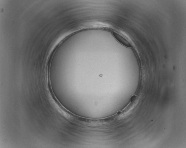 X0000068770843200604281016