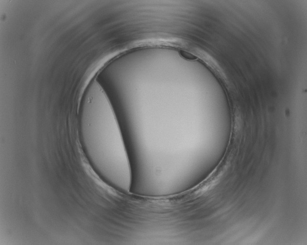 X0000068770844200604281016