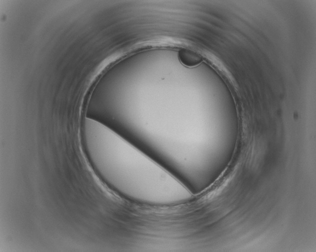 X0000068770845200604281016