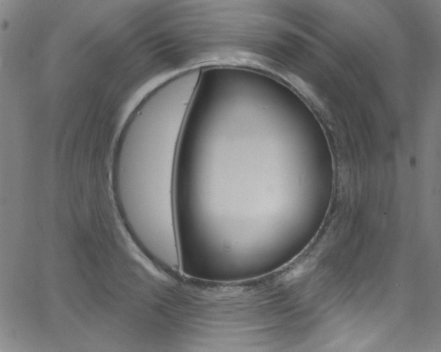 X0000068770846200604281016