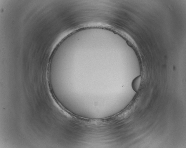 X0000068770847200604281016