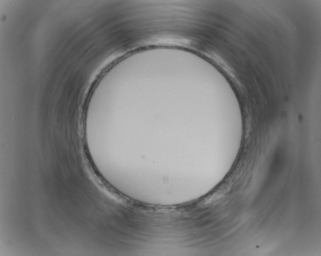 X0000068770848200604281016