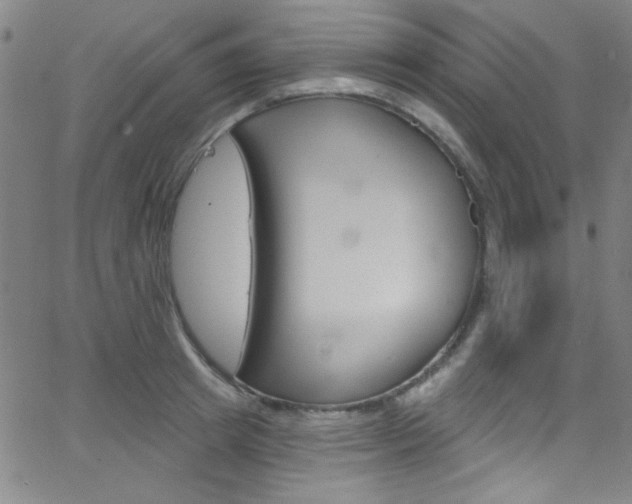 X0000068770849200604281016