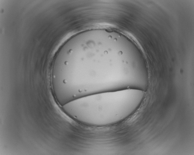 X0000068770851200604281016