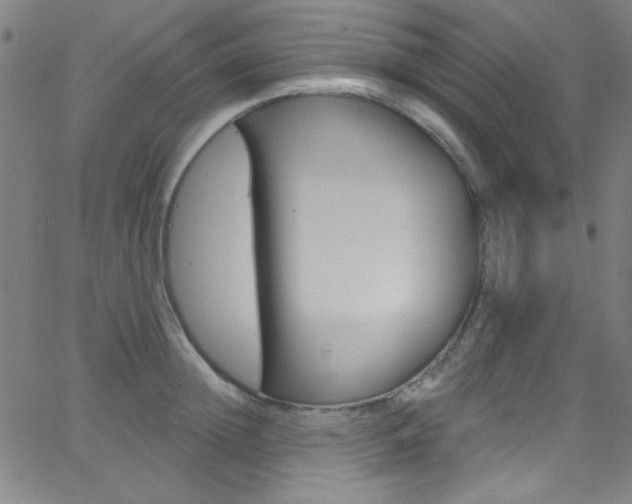 X0000068770852200604281016