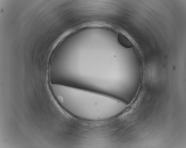 X0000068770853200604281016