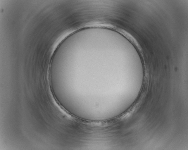 X0000068770855200604281016