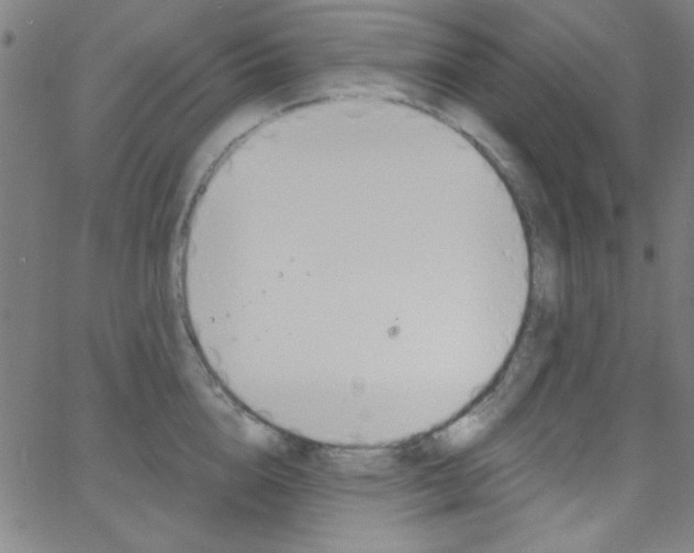 X0000068770856200604281016