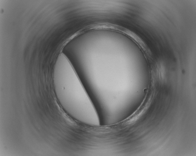 X0000068770857200604281016