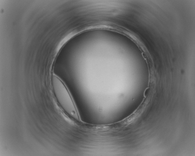 X0000068770858200604281016