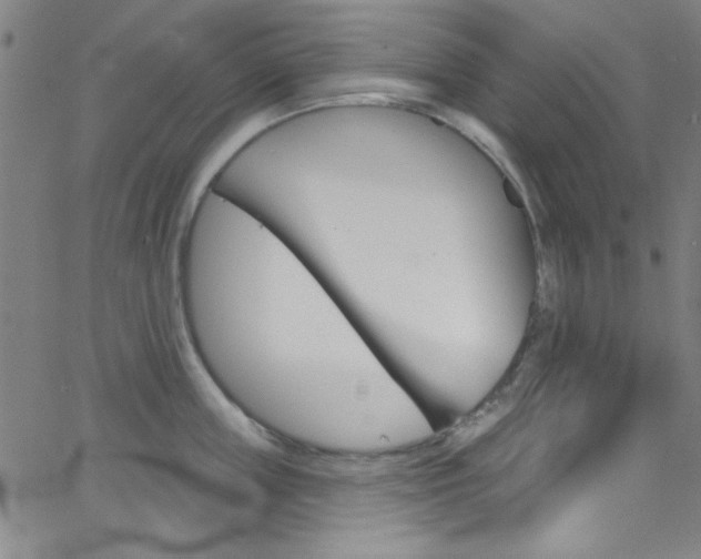 X0000068770859200604281016