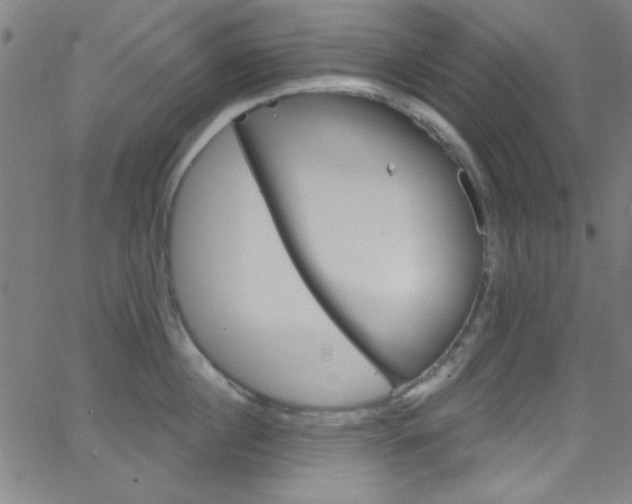 X0000068770860200604281016