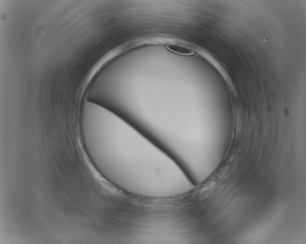 X0000068770861200604281016