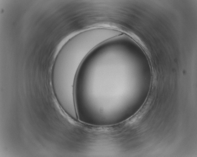 X0000068770862200604281016