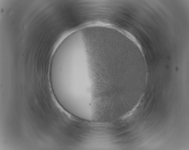 X0000068770863200604281016