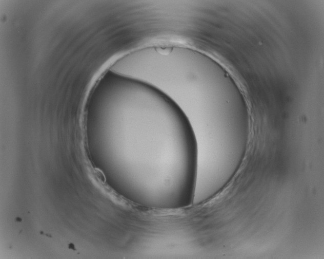 X0000068770864200604281016