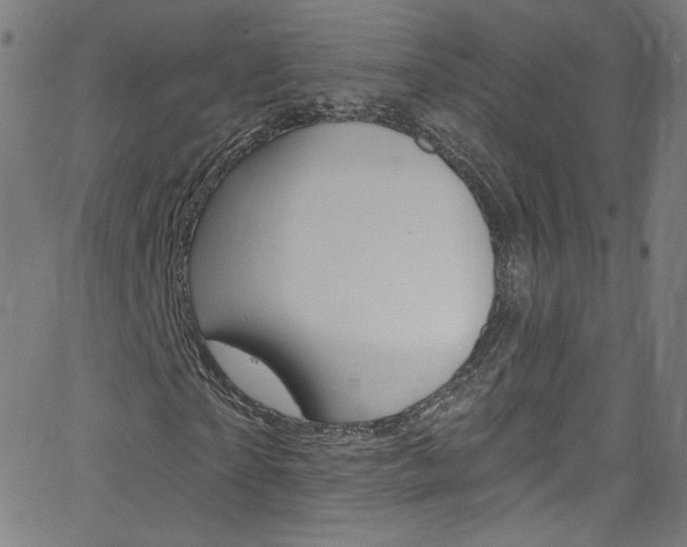 X0000068770865200604281015