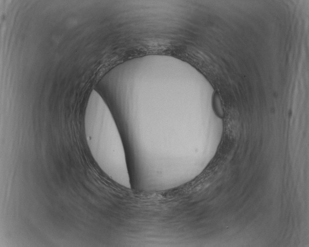 X0000068770866200604281015