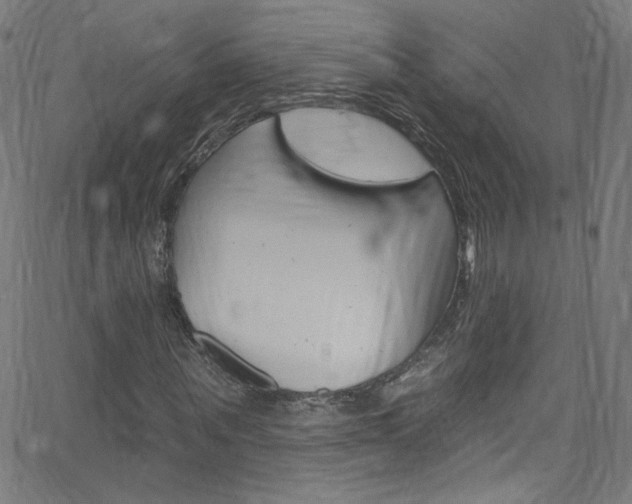 X0000068770867200604281015