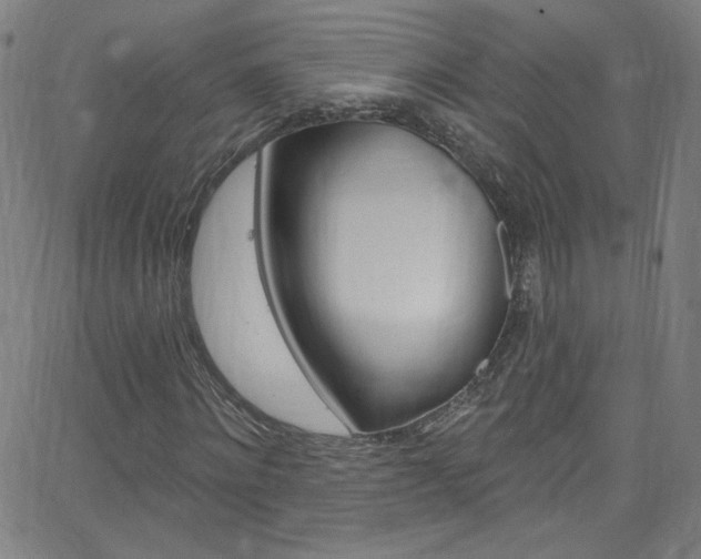 X0000068770868200604281015