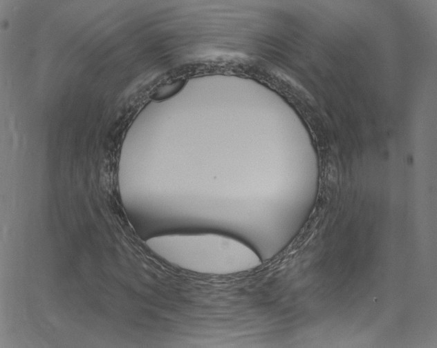 X0000068770869200604281015