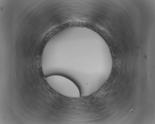 X0000068770870200604281015