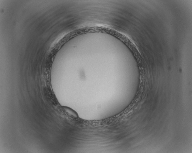 X0000068770871200604281015