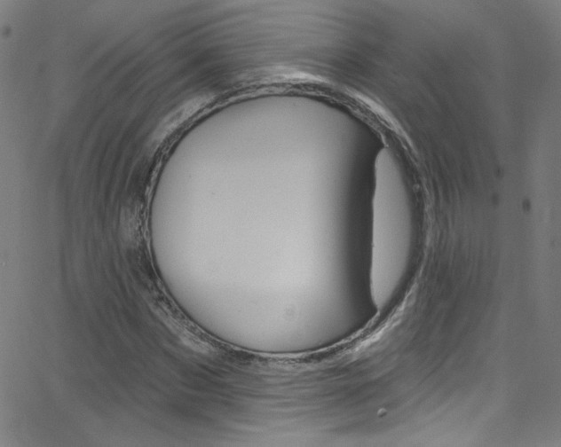 X0000068770873200604281015