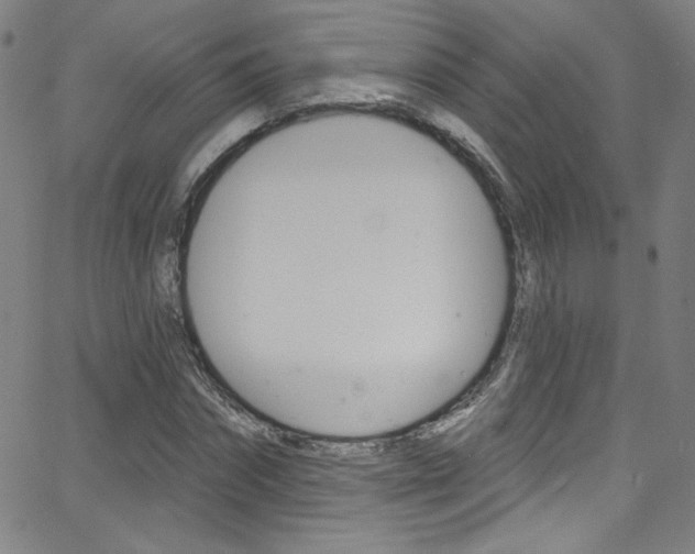 X0000068770874200604281015