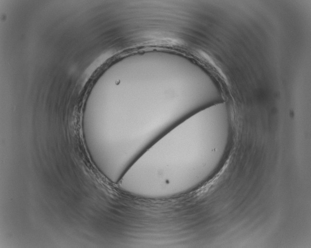 X0000068770875200604281015