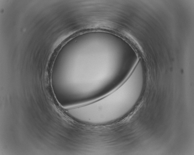 X0000068770876200604281015