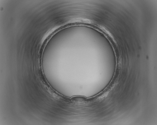 X0000068770877200604281015