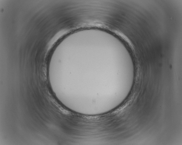 X0000068770878200604281015