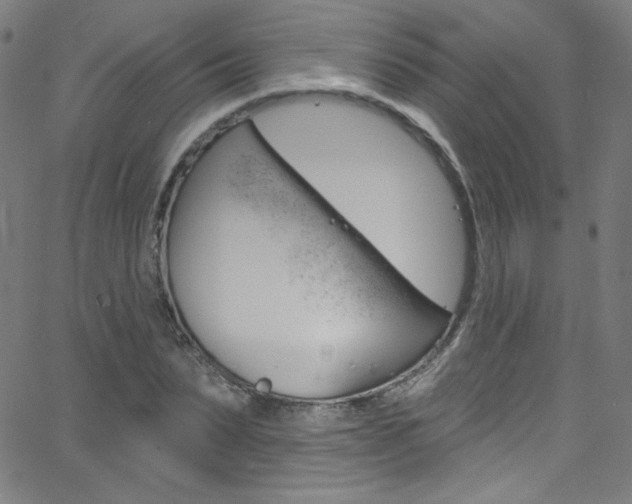 X0000068770879200604281015