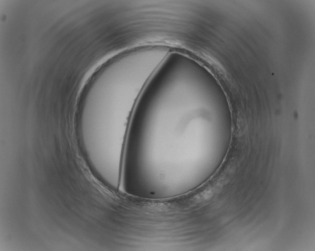 X0000068770880200604281015