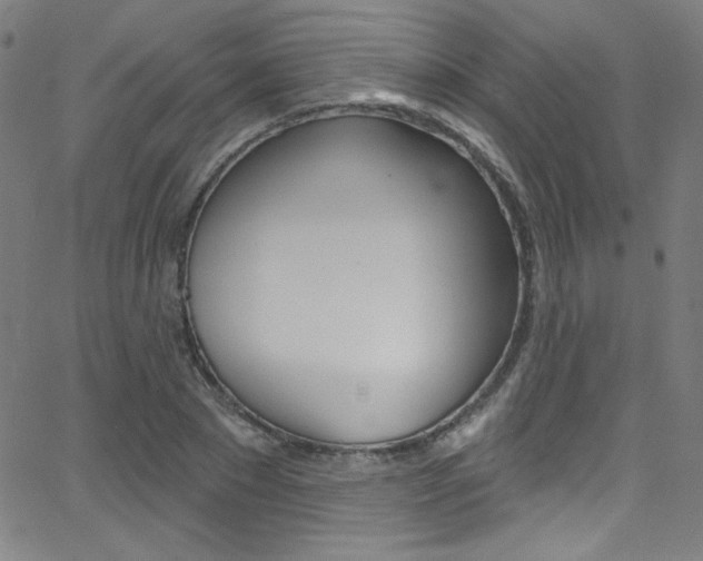 X0000068770881200604281015