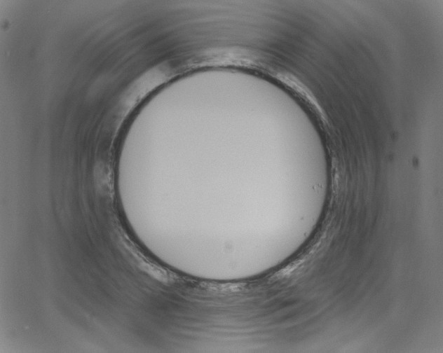 X0000068770882200604281015