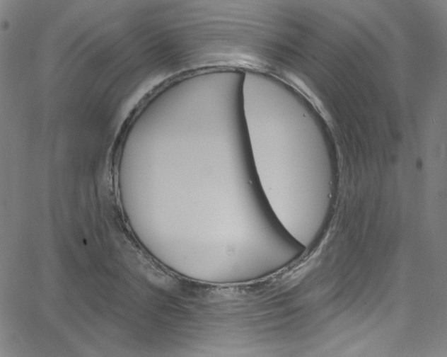 X0000068770883200604281015