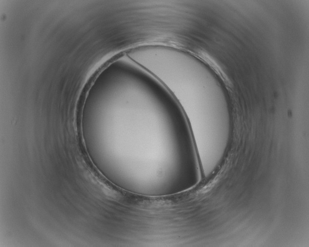 X0000068770884200604281015