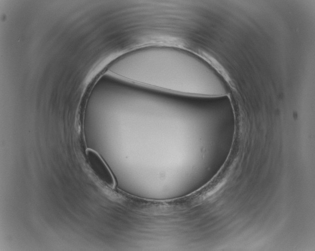 X0000068770885200604281015