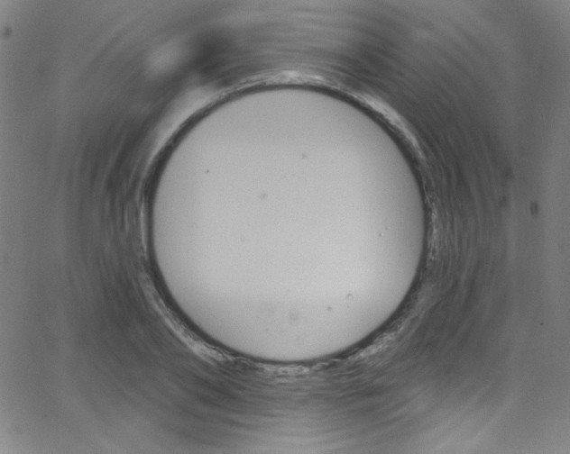 X0000068770886200604281015