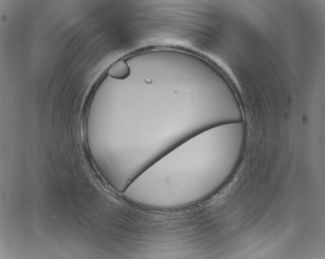 X0000068770887200604281015