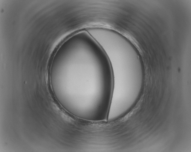 X0000068770888200604281015