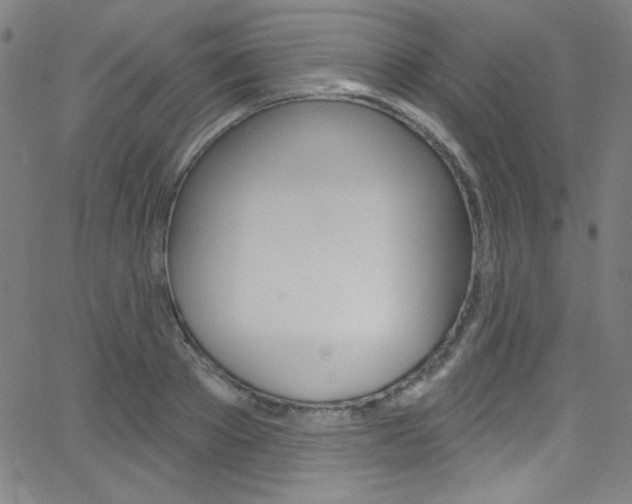 X0000068770889200604281015