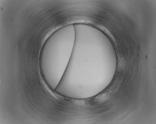 X0000068770890200604281015